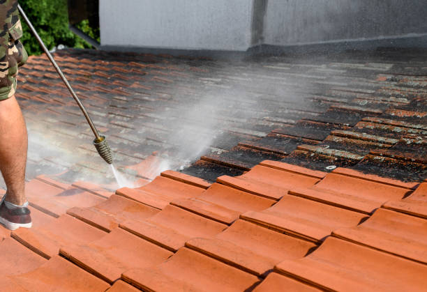 Best Roof Pressure Washing  in Gages Lake, IL