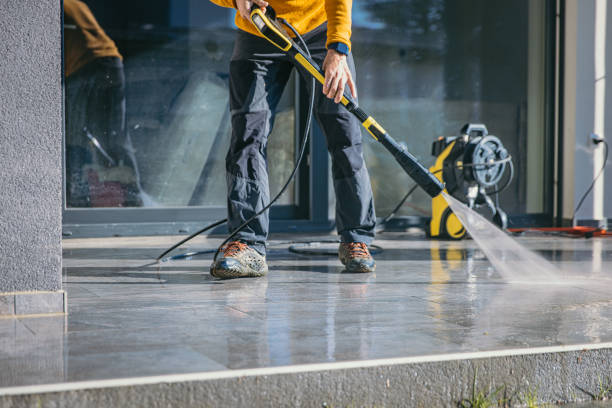 Deck Cleaning Services in Gages Lake, IL