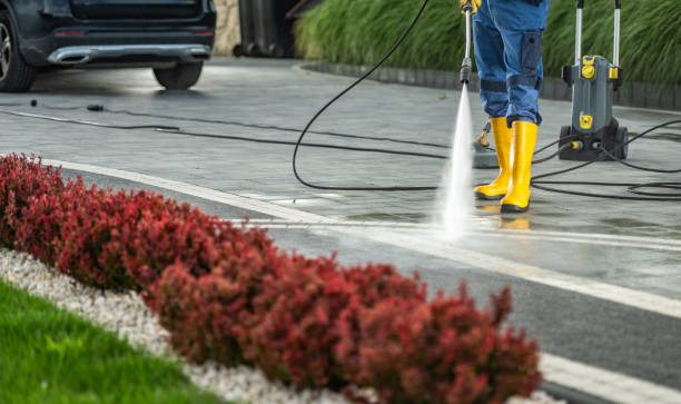 Best Local Pressure Washing Services  in Gages Lake, IL