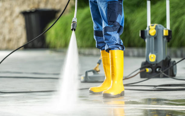 Best Fence Pressure Washing  in Gages Lake, IL