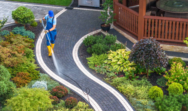 Best Power Washing Near Me  in Gages Lake, IL